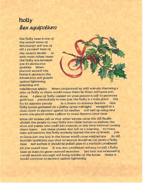 Enchanting spell of mistletoe